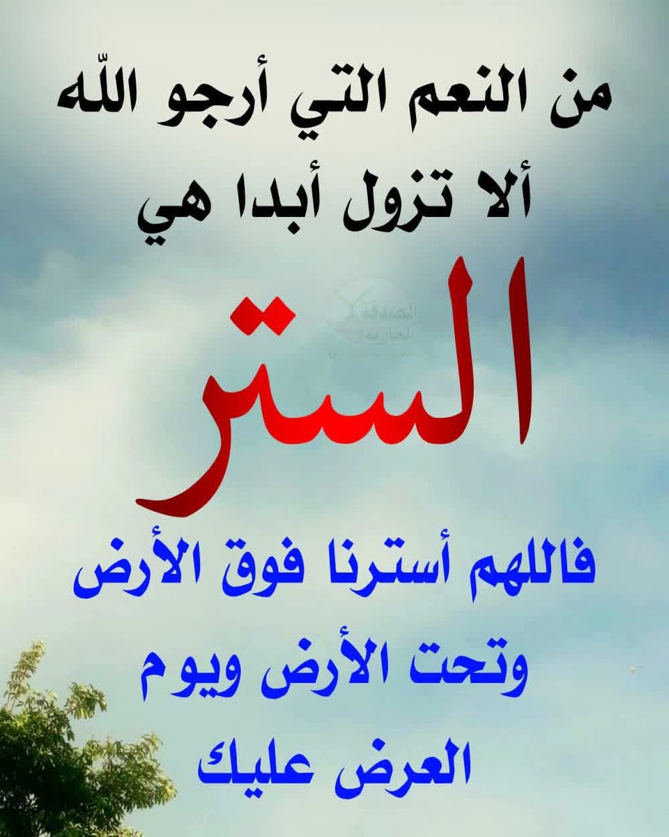 Nesreen Omar (@nesreenomar171) on Twitter photo 