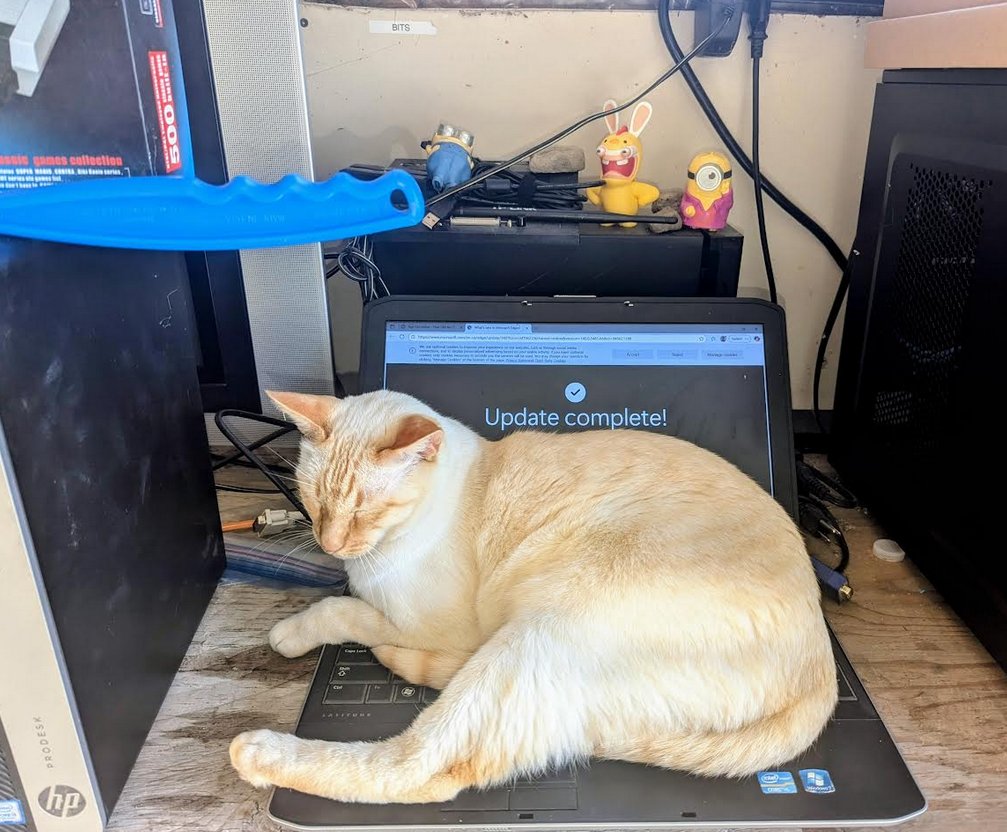 bitswift_tech's tweet image. Replaced all our AI tools with cats and minions, no regrets. Update complete.