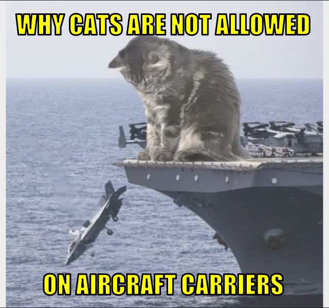 Hawwo wunderpawl furienz! 

#ECCHappyHour