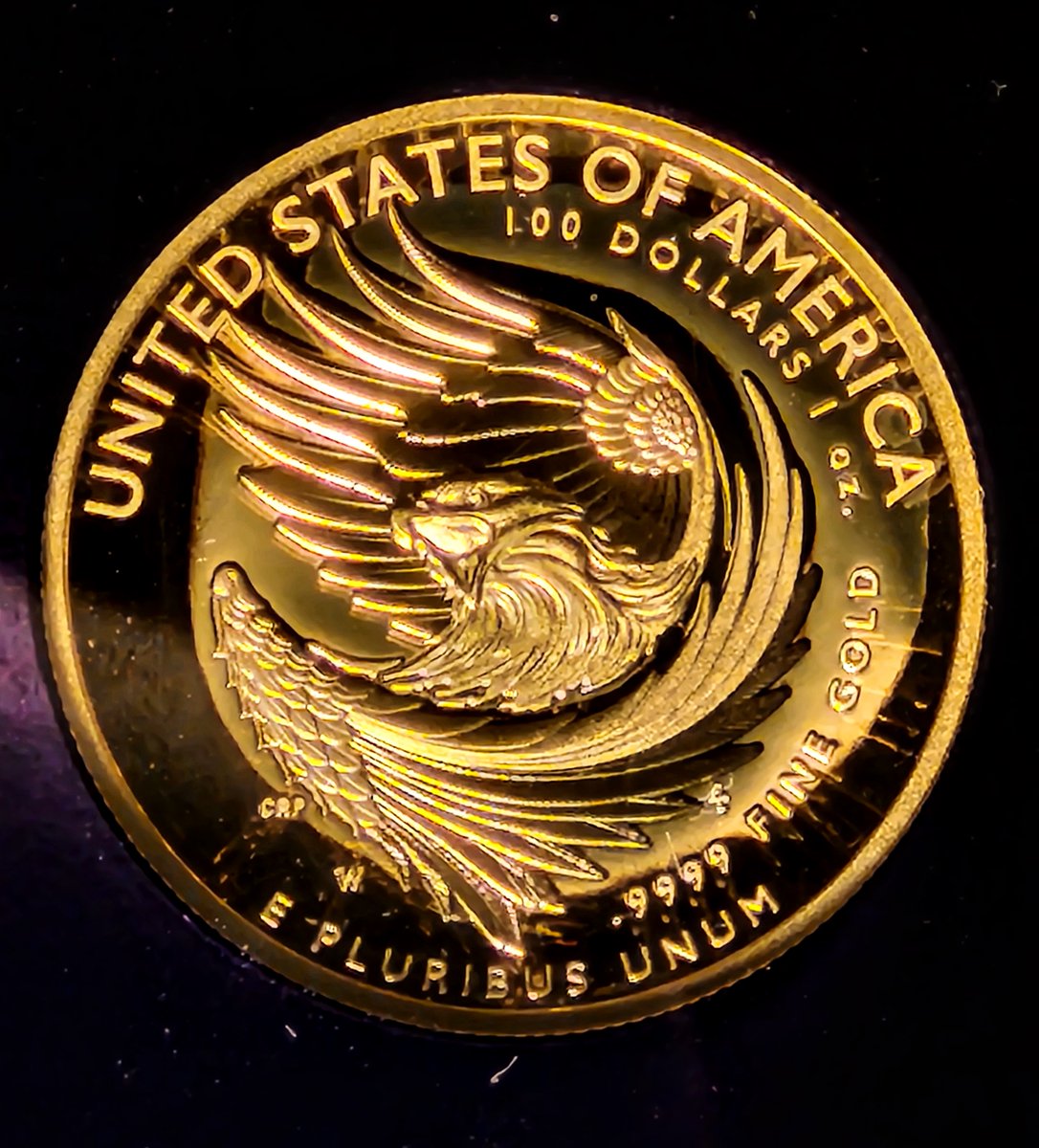 Coin_HuntersLLC's tweet image. Liberty, reimagined. 🌻🐝
The 2025 #AmericanLiberty $100 #HighRelief #GoldCoin (#PF70 #UltraCameo, .#9999fine, only 12 000 minted!) reminds us that freedom must be tended, not taken for granted.
.
.
#ModernLiberty #USMint #GoldCoin #numismatics #coincollectorsunite