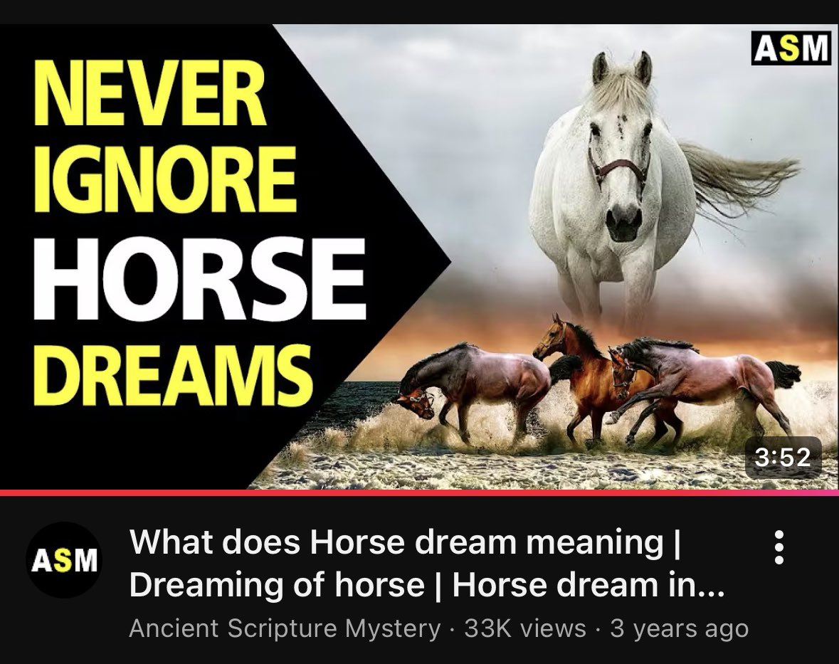 horse (@horseimage) on Twitter photo 