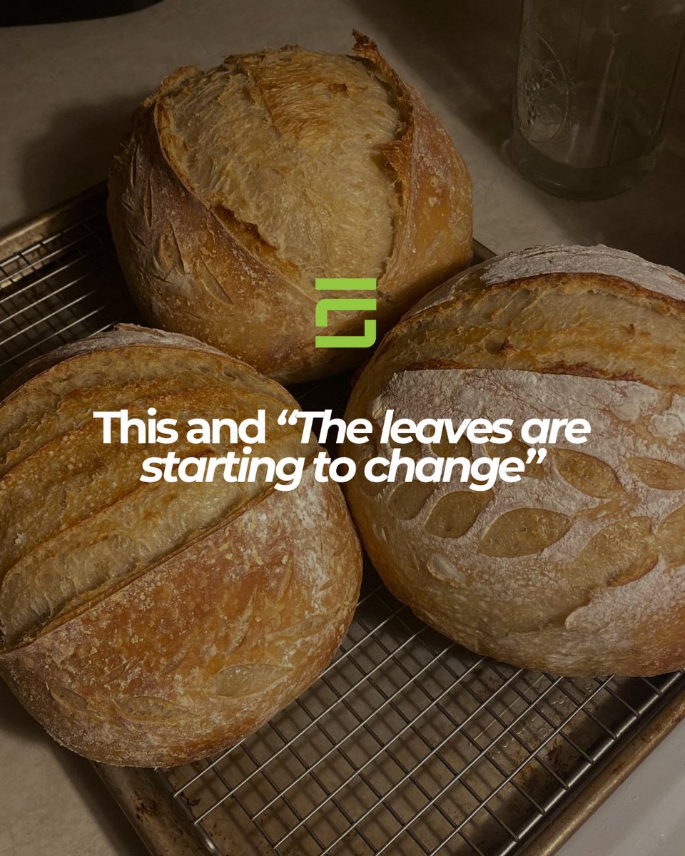 fastersolutions's tweet image. 🍂❄️ The chill is in the air, which means it’s officially fall → winter mode: warm soups, cozy blankets, and weekends that feel like a hug. 🥣☕🧣

Who else is ready to trade iced lattes for something hot? 👀