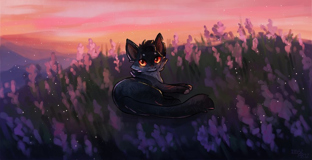 The finished raffle prize for <a href="/winteryglow_/">tabi ! 🐾 || birchfeather ceo</a> on Twitter!
Such a lovely character ^-^ 

#digitalart #raffle #catart