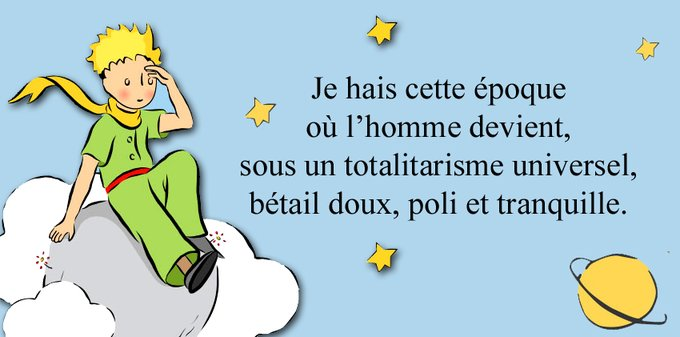 Véro Mgt tweet media