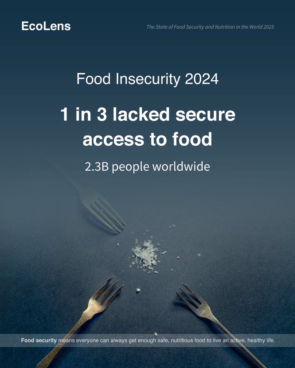 Hunger is just the tip of iceberg.
🍽️
In 2024, around 700 million people faced hunger; but about 2.3 billion lived with food insecurity, lacking safe, sufficient and nutritious food.

#FoodSecurity 
#GlobalHunger