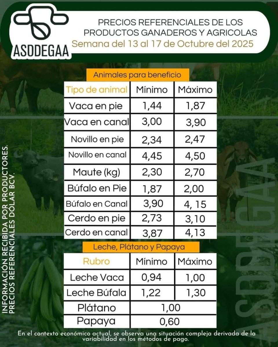 campocafeciudad's tweet photo. PRECIOS REFERENCIALES DE LOS PRODUCTOS GANADEROS Y AGRÍCOLAS EN EL VIGÍA

Fuente: Asociación de Ganaderos y Agricultores Alberto Adriani  (ASODEGAA), Estado #Mérida. Instagram @asodegaa

Semana del 13 al 17 de octubre de 2025

#Venezuela #Ganadería #AgroEconomía #CampoCafeCiudad https://t.co/h0oB3fEShu