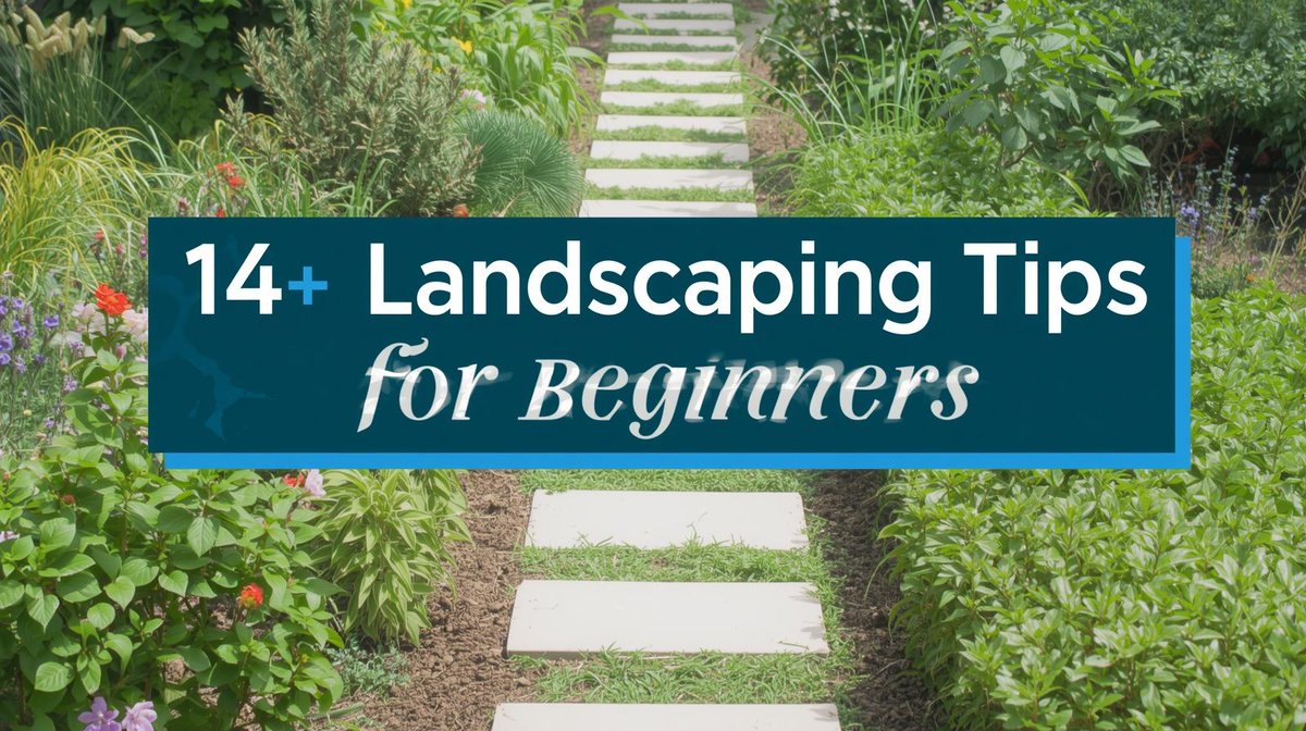 TheAdolphGroup's tweet image. Ready to start landscaping? Here are 14 simple tips for beginners to help you create a beautiful outdoor space! 😉
#Landscaping #LandscapingIdeas #LandscapingForBeginners #DIY
LocalInfoForYou.com/465313/landsca…