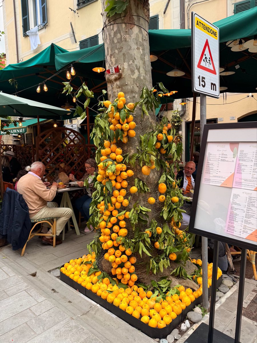 sheeblover's tweet photo. this was earlier but I walked around a  lemon festival in Italy!!  &amp; ate so many lemons that a drop of my blood could probably cure scurvy :p https://t.co/eJVkLoZj3X