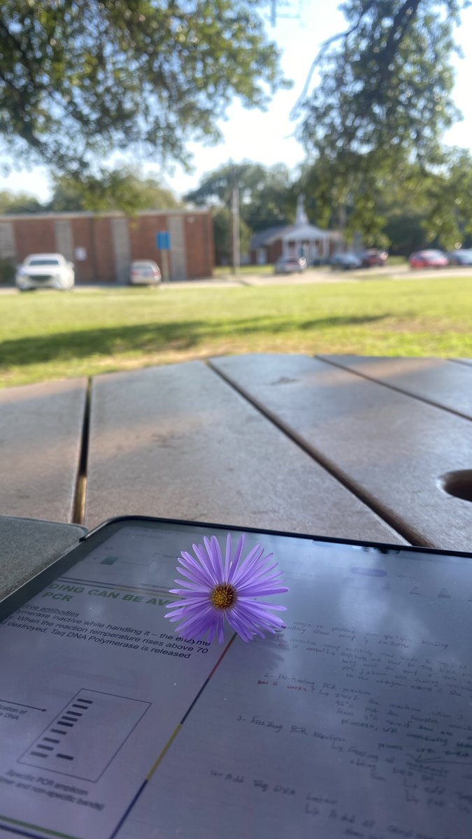 ١٤ أكتوبر
15:04