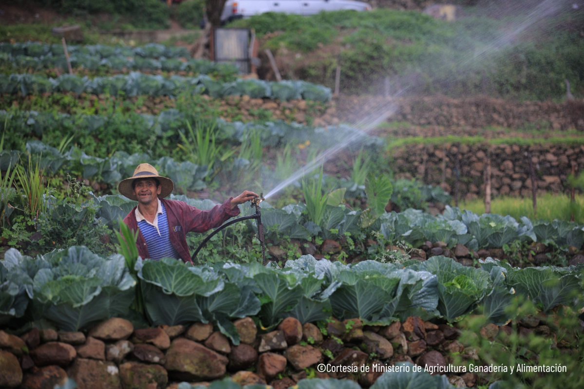 #NoticiasFAO🗞️

📉 <a href="/GuatemalaGob/">Gobierno de Guatemala 🇬🇹</a> impulsa inversiones en infraestructura de riego y cadenas de valor agroalimentarias en el Foro de Inversiones de la Iniciativa Hand-in-Hand de la <a href="/FAO/">Food and Agriculture Organization</a>

📎 Más información: fao.org/guatemala/noti…