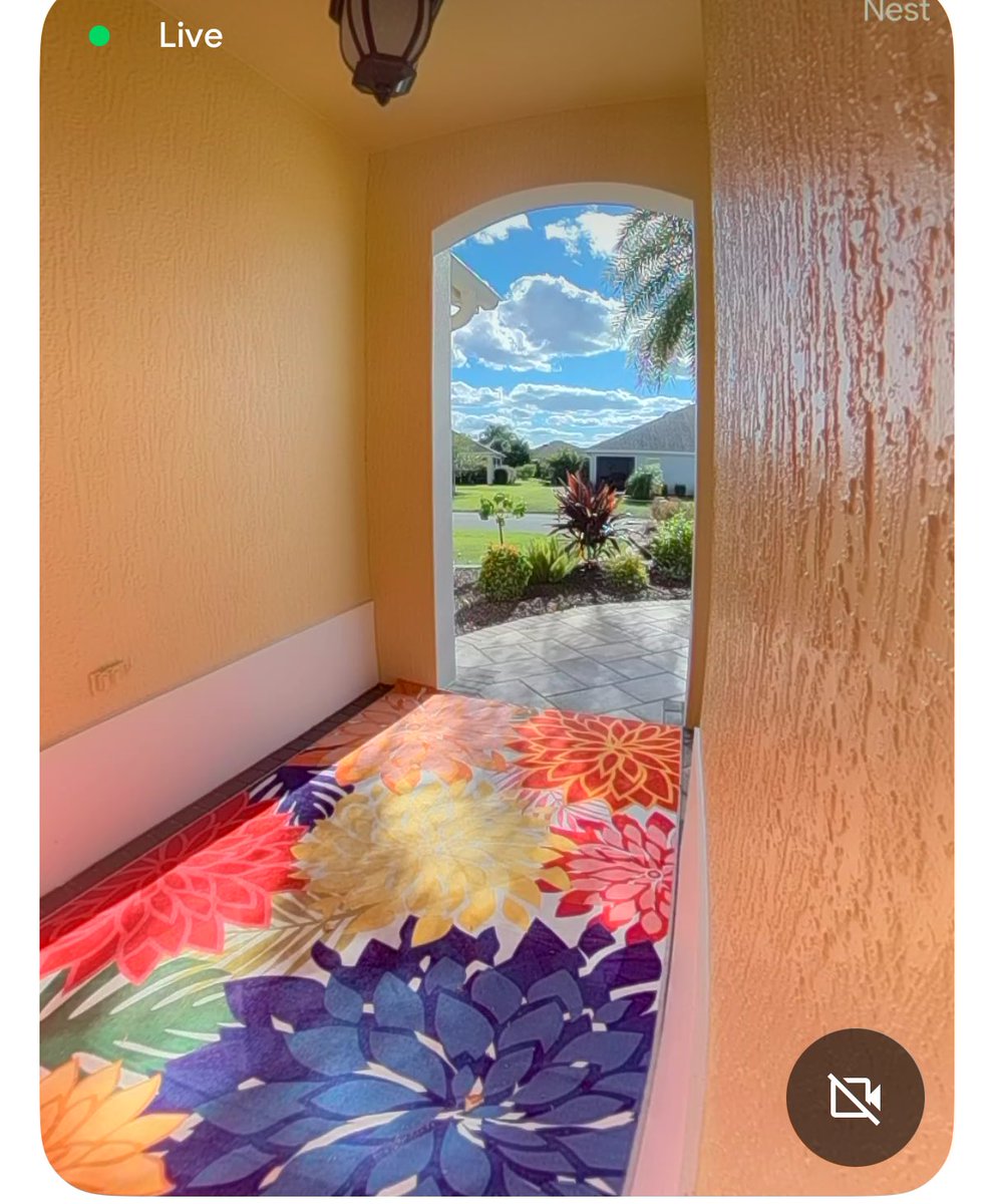 If you ever wanted to know what my doorbell sees at Casa Amarillo