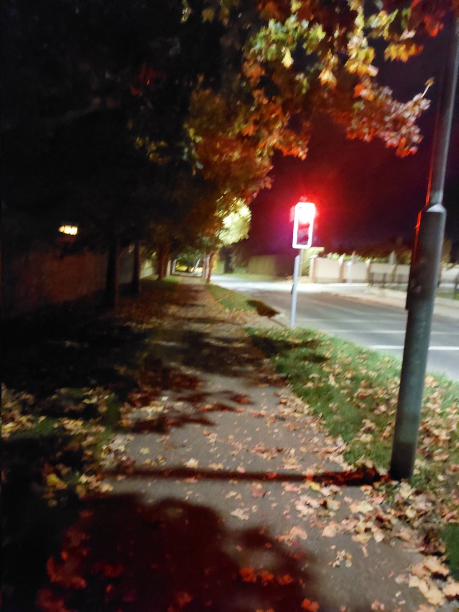 WildersLiz's tweet photo. #Day276 of  #Day1746
#100daysofwalking
#200daysofwalking 
#300daysofwalking
#365daysofwalking 
 #round5crew  #MentalHealthAwareness #October2025 🚶‍♀️
When autumn leaves start to fall🍂 https://t.co/w3mxhKxgyE