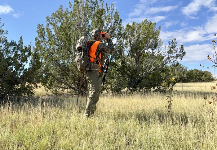 Petersen's Hunting tweet media