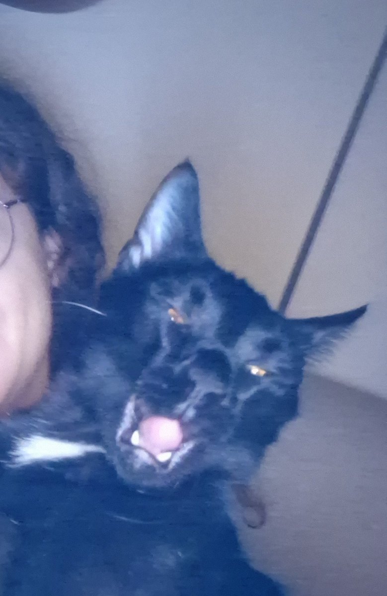 Aslında. (@ardicbenimevim) on Twitter photo 