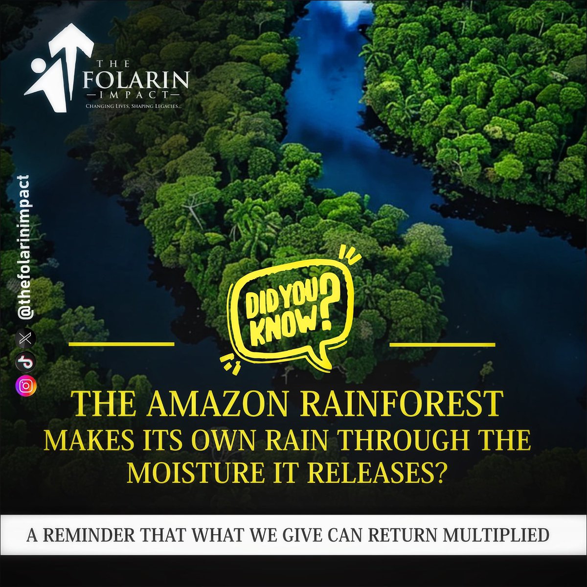 folarinimpact's tweet image. 💡 Did you know the Amazon Rainforest makes its own rain? 🌧️

Even nature reminds us — when you give, you grow. 🌿
What you release into the world finds its way back, multiplied. 💚

#FunFactWednesday #TheFolarinImpact #ChangingLivesShapingLegacies 🌍✨