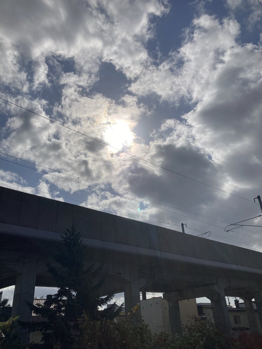 Good morning ☀️🕊️💕Afternoon 🍊
Evening 🍇 night ✨🦉