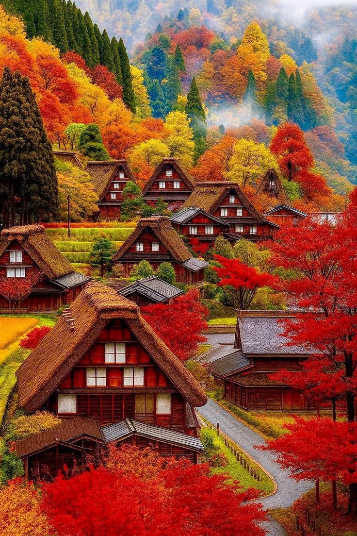 🌻· · • • • ✤ • • • · ·🌻
🍁🦋Good morning 🦋🍁
🍁🌻🦋everyone🦋🌻🍁     
       🌻· · • • • ✤ • • • · ·🌻