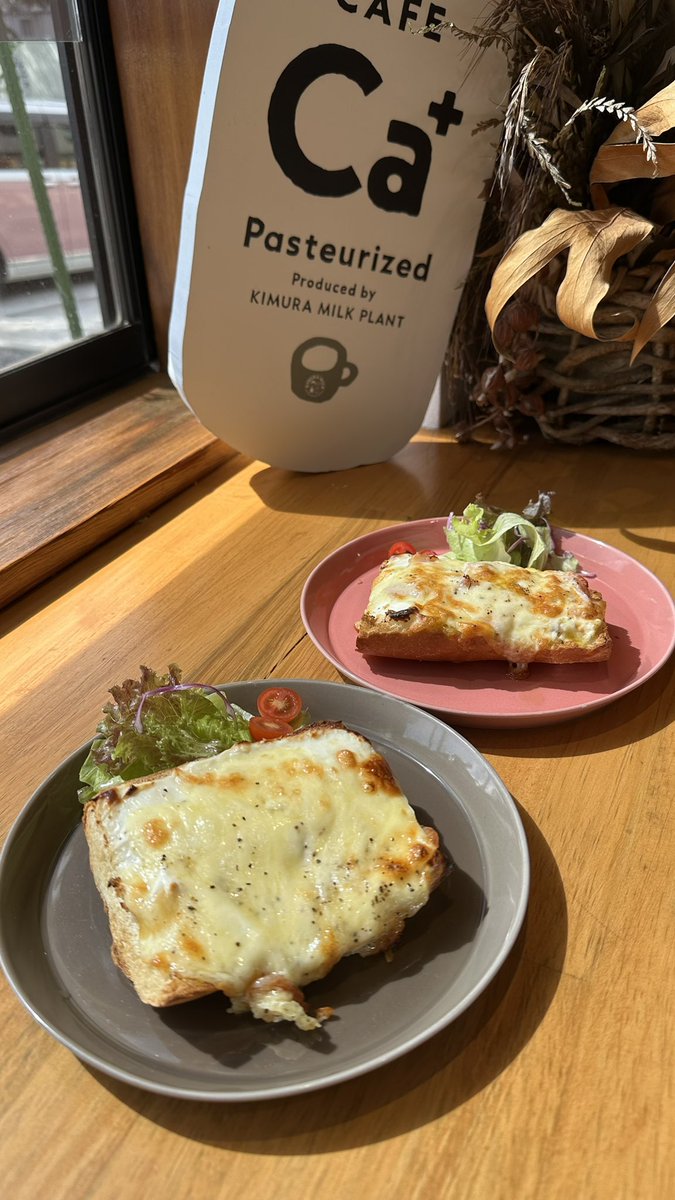 あいにくの天気ですがCafeCa+Pasteurized営業してます🈺

今日はアウトレットコーナーがめっちゃお買い得🪙🪙🪙
牛乳など特価販売中です

秋からの新メニュー
「グリークオープンサンド」も大好評
とろけたチーズと濃厚なグリークヨーグルトのコンビネーションがたまらん！！

ご来店お待ちしてます