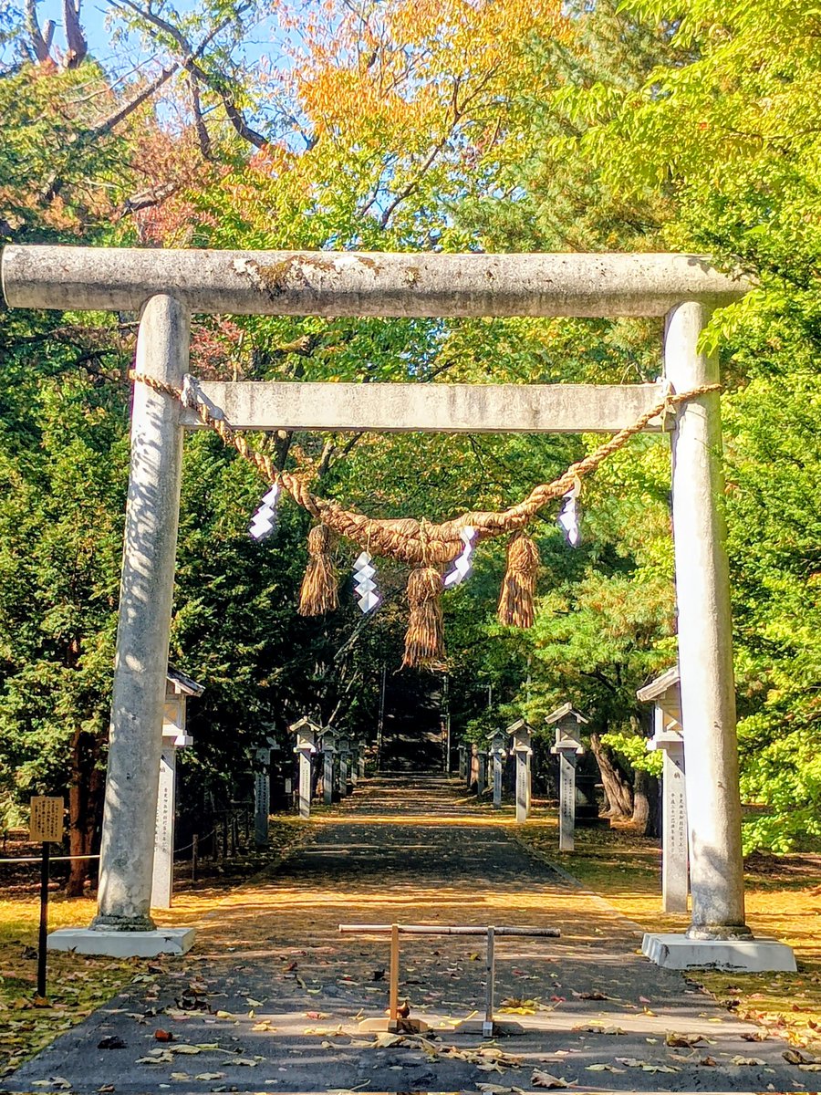 落ち葉道🍂今日15日から始まりました。来月15日迄⛩️#落ち葉　#紅葉　#参道　#音更神社