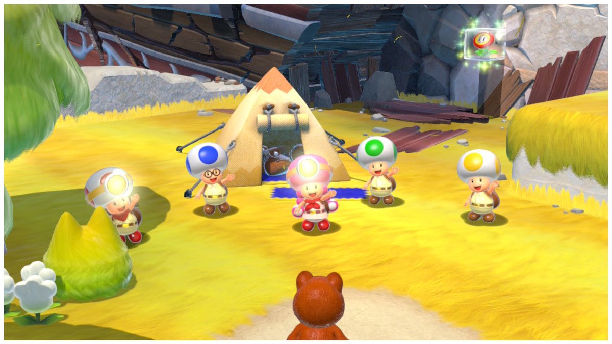 ToadlyToad's tweet image. Everyone is here 🥹