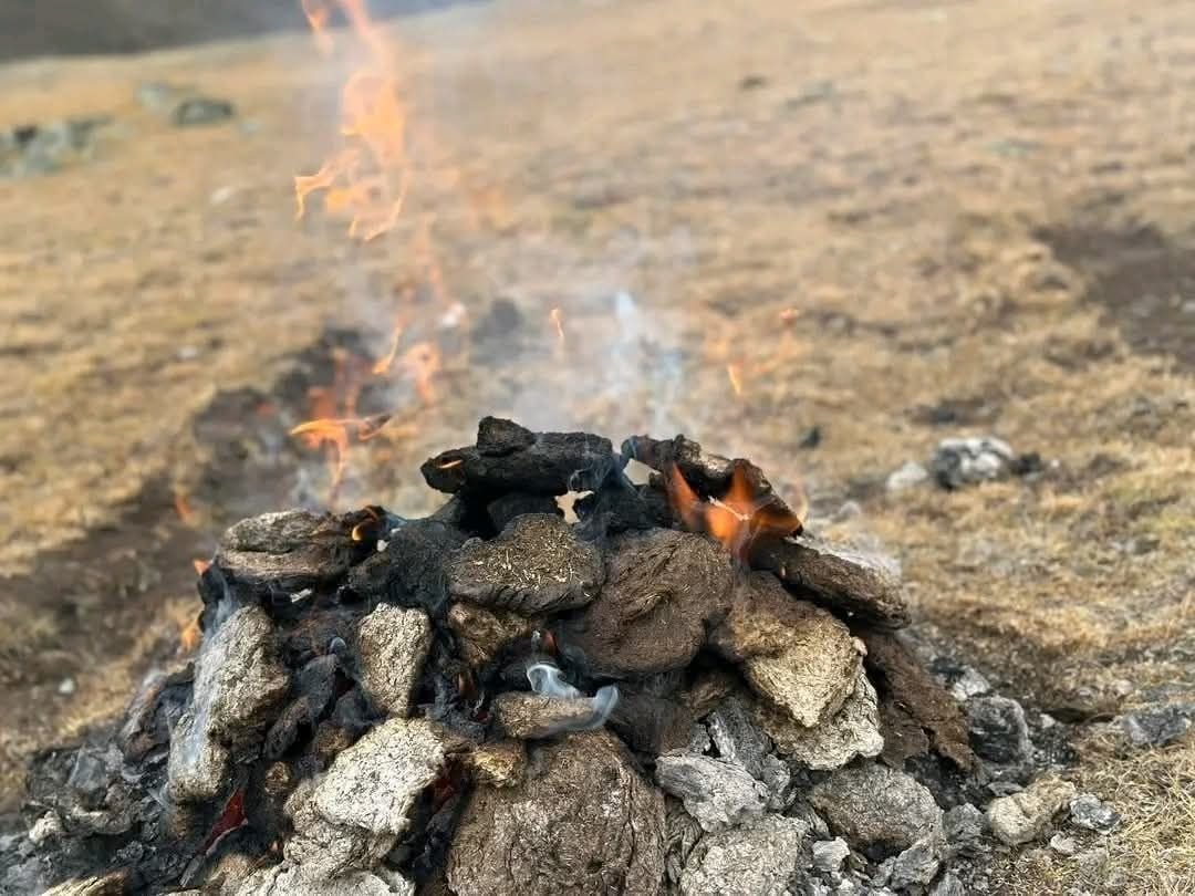 Үхрийн аргал нь Mycobacterium vaccae нэртэй бактери агуулдаг. Энэ нь шатах явцдаа агаарт хүний тархины серотонин үүсгэдэг нейроныг идэвхижүүлэх үүрэгтэй нэгэн төрлийн хий үүсгэдэг учир  тайвшруулж, стресс бухимдлыг арилгадаг.
Үхрийн аргалын утаа нь орчны чийгнээс үүдэн бий болдог