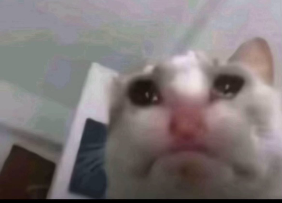 محد فقدني🚶🏻‍♀️