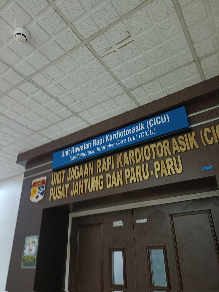 nibzbabs's tweet image. Officially anak watan and here where I need to live and adapt now🫶🏻