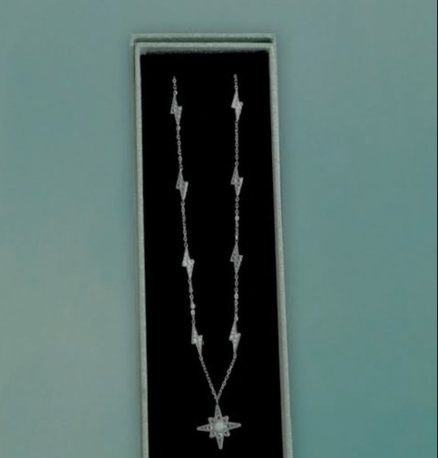 WoofMeowHissMoo's tweet image. I'm waiting for her PR team to have taylor apologize for "accidentally" selling a necklace with nazi symbolism lol