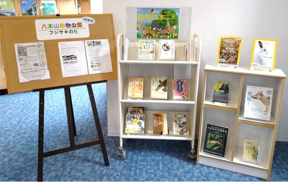 TGU_Lib's tweet image. コラトリエ・ライブラリー（図書館）4階展示コーナーで「動物の本」展示開催中です🦁🐻‍❄️🐅🦓🐒
10/15に、八木山動物公園が開園60周年㊗🙌を迎えるということで、動物の知識が深まる図書や雑誌などを集めました‼
「🐘本読んで🦍本物に会おう🦒動物園🦛🐫」

▼展示資料リスト
lib.tohoku-gakuin.ac.jp/opac/opac_sear…