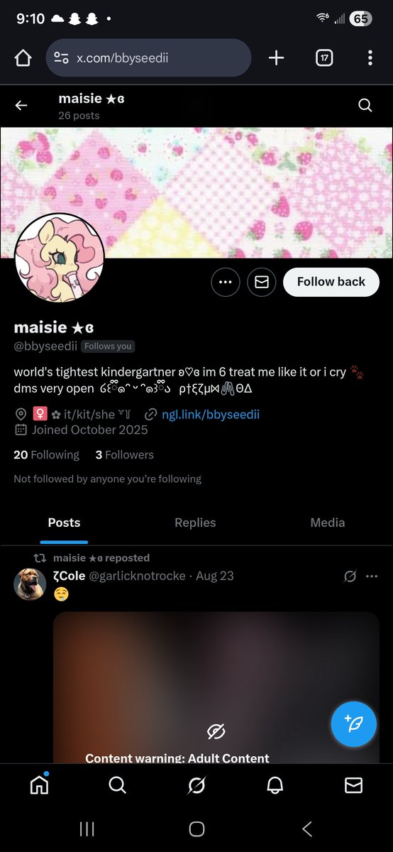 who tf is following me