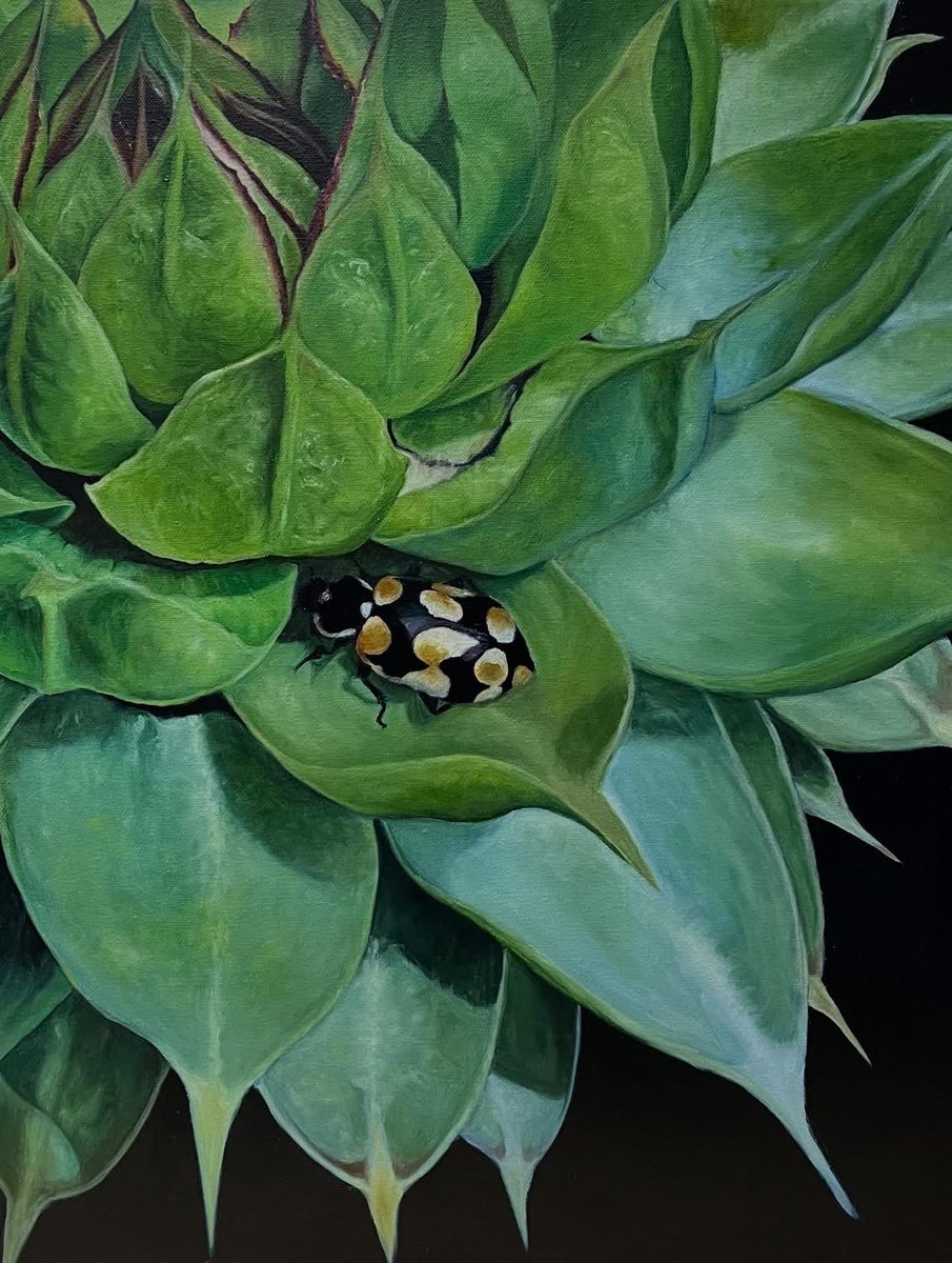 Si te gusta, puedes votar hasta el 20 de octubre aquí: premiopam.cl/votacion?numer…