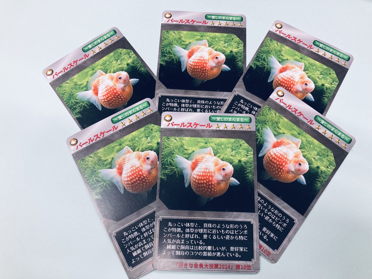 11月さくら誕🐟弥富市歴史民俗資料館🐤館鳥は8歳で引退予定 on X