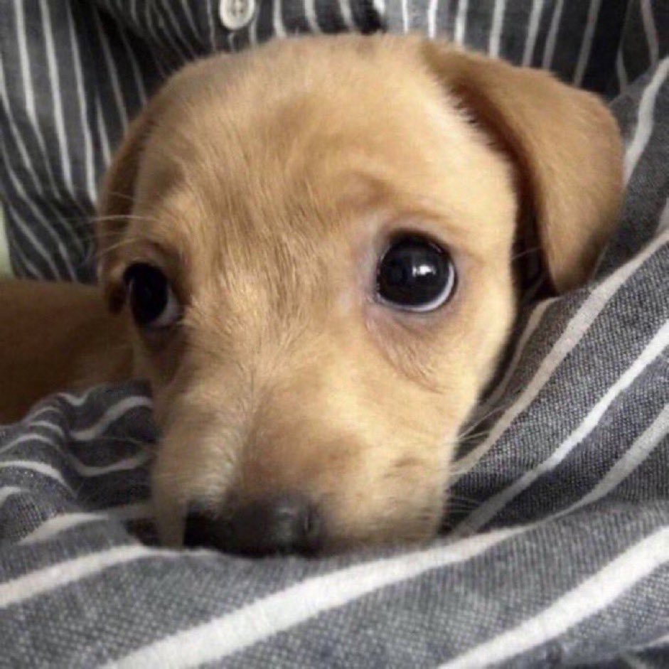 Sdd da câmera do meu 14 pro max