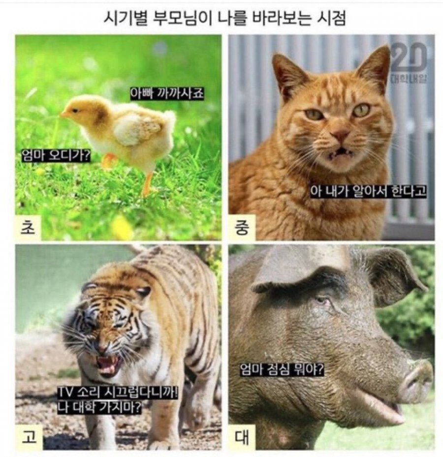 kalarth's tweet image. 대학생...ㅋㅋㅋㅋㅋㅋㅋㅋㅋㅋㅋㅋㅋㅋ