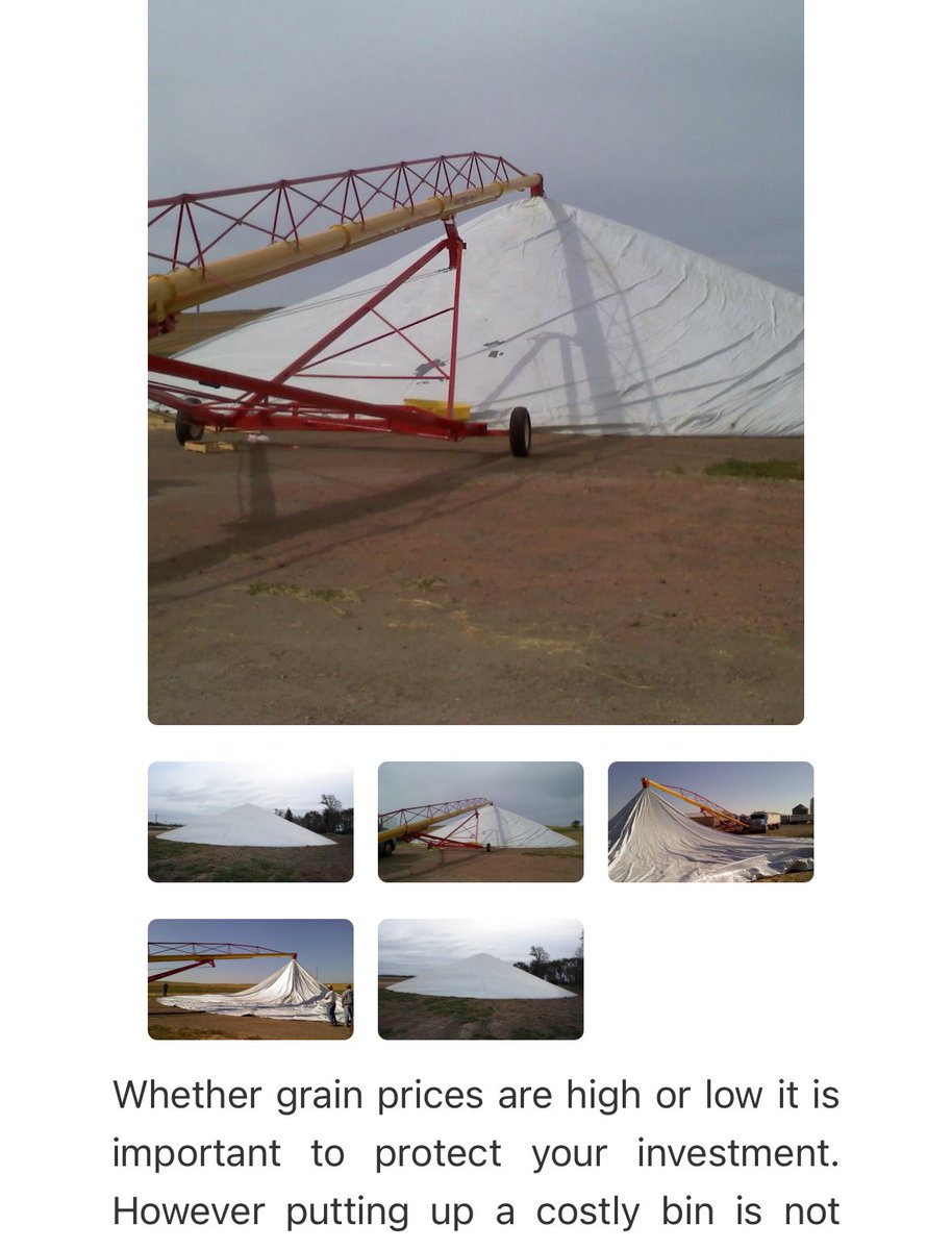 Shay Foulk tweet media