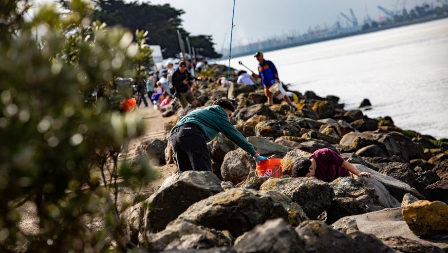 Terry Taplinπ°π³οΈβππ₯πΉπ²πβοΈπΎ (@taplinterry) on Twitter photo Volunteer every third Saturday of the month to help clean up our coastline along the <a href="/CityofBerkeley/">City of Berkeley</a>βs Waterfront! βοΈ π
Saturday, October 18 | 9 - 11 am
Shorebird Park Nature Center
160 University Avenue
Register: ca-berkeley.civicrec.com/CA/berkeley-caβ¦ Volunteer every third Saturday of the month to help clean up our coastline along the <a href="/CityofBerkeley/">City of Berkeley</a>βs Waterfront! βοΈ π
Saturday, October 18 | 9 - 11 am
Shorebird Park Nature Center
160 University Avenue
Register: ca-berkeley.civicrec.com/CA/berkeley-caβ¦