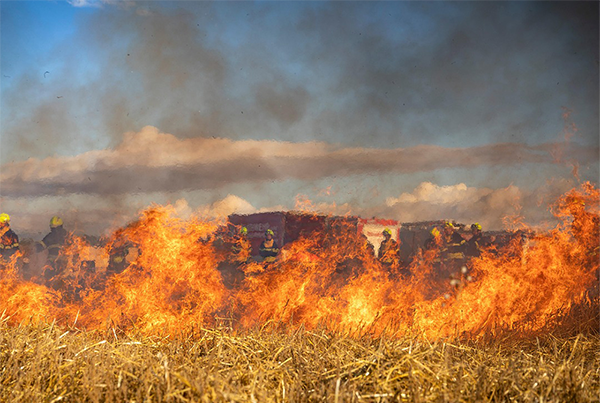 GaryM's tweet image. Have you ever wondered what causes wildfires and how resources are allocated to prevent their spread? Use machine learning to predict areas of wildfire susceptibility and their intensities. sciencebuddies.org/science-fair-p… via @ScienceBuddies #SciEd #STEM #StudentProject #SciChat