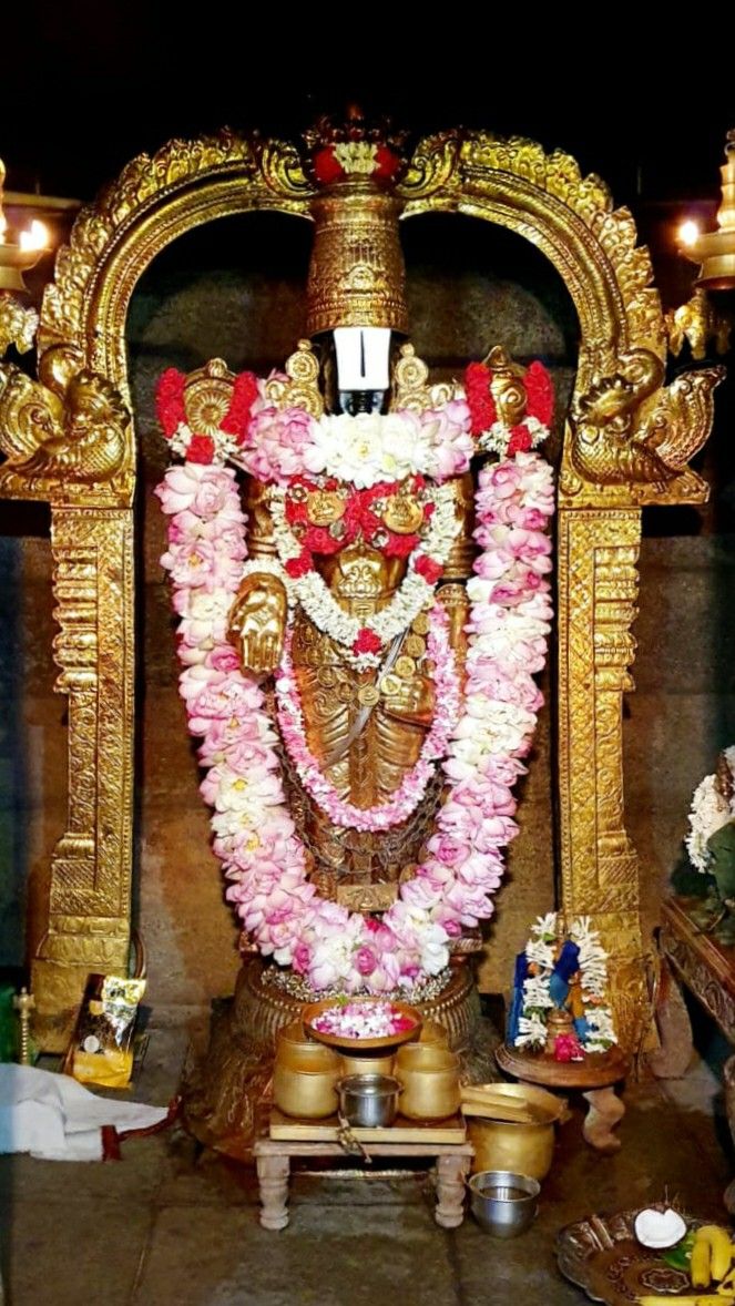 ttdsrivari's tweet image. Govinda Govinda Govinda Govinda Govinda Govinda Govinda Govinda Govinda Govinda Govinda Govinda Govinda Govinda Govinda Govinda Govinda Govinda Govinda Govinda Govinda Govinda Govinda Govinda Govinda Govinda Govinda Govinda Govinda Govinda Govinda Govinda Govinda Govinda Govinda.
