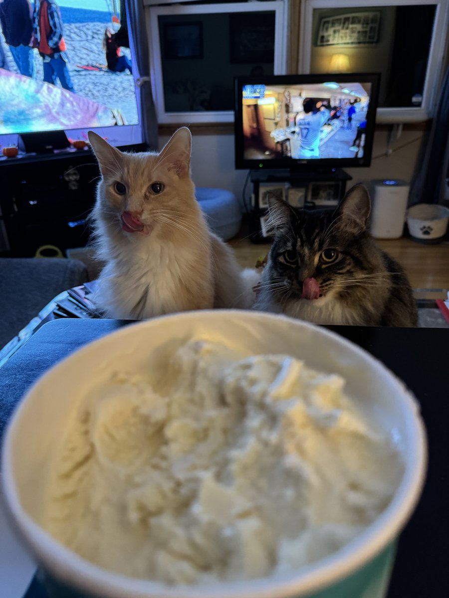 fredandsmoke's tweet image. We all scream fur ice cream