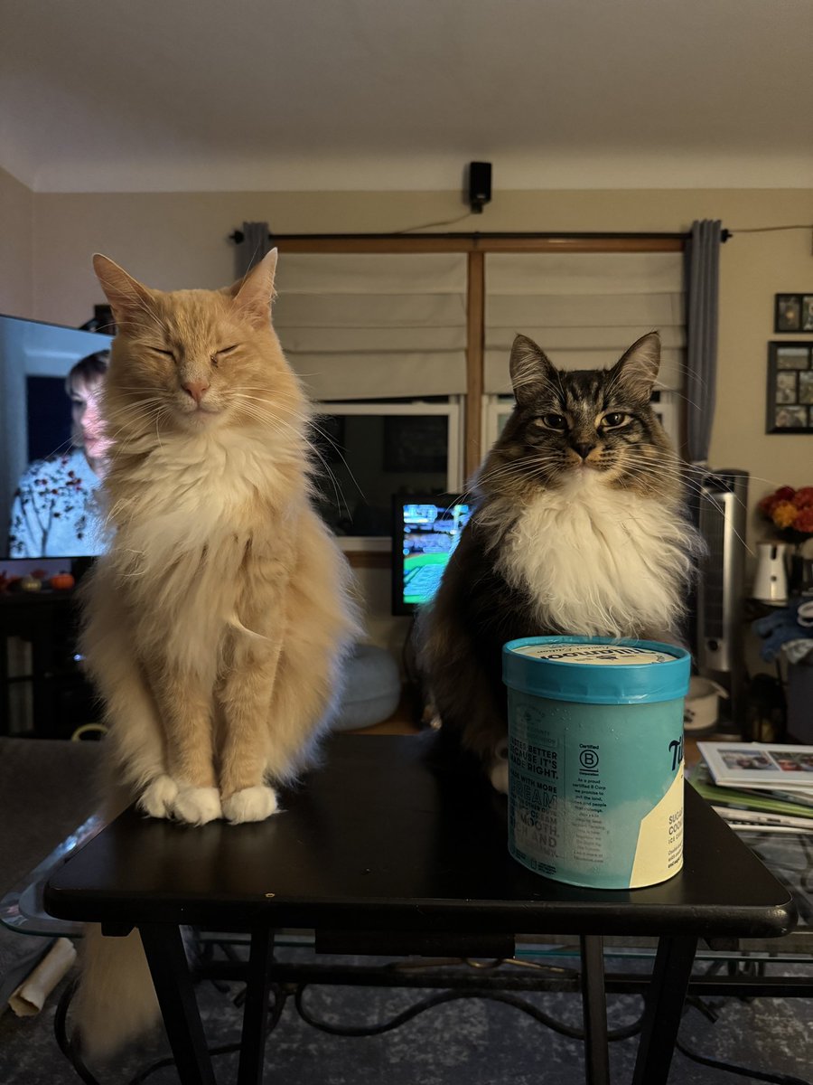 fredandsmoke's tweet image. We all scream fur ice cream