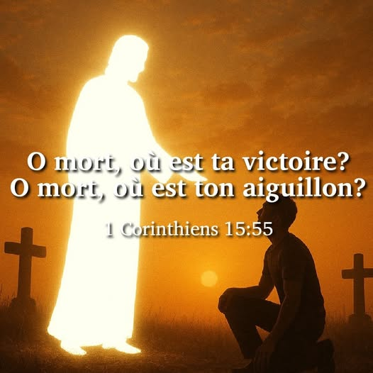 docmanoto's tweet photo. Amen ! 🙏🙏🙏🙏🙏🙏🙏 https://t.co/pLVDLCFpxG