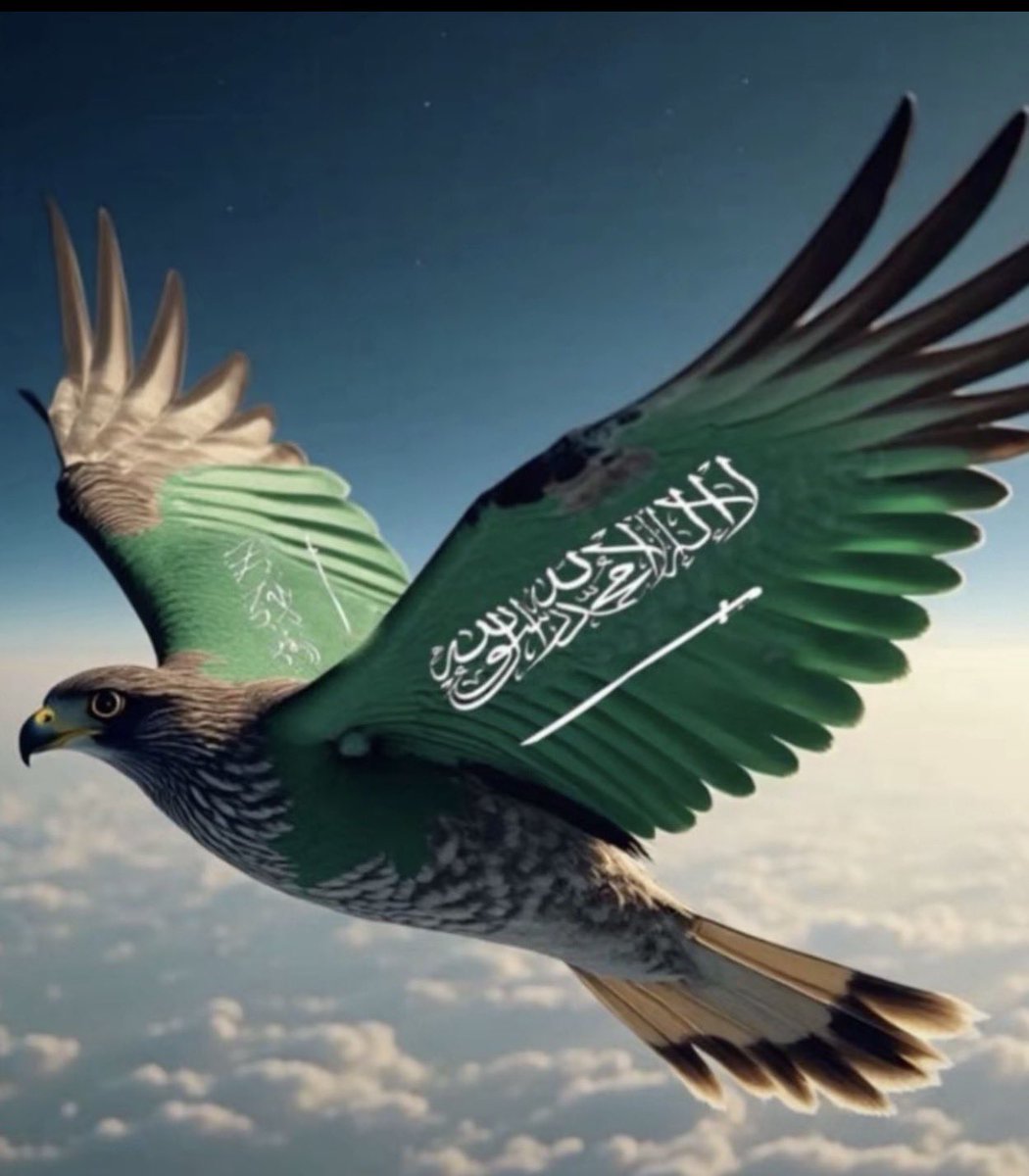 os1412os1's tweet photo. #الأخضر_إلى_كأس_العالم_2026
اللهم لك الحمد والشكر. https://t.co/Gg2LPChCLE