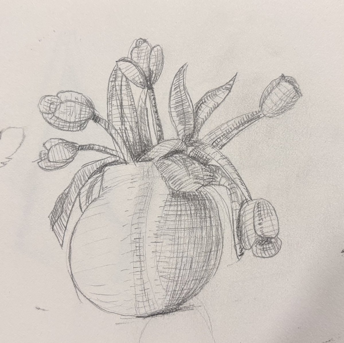 lostmy_sketches's tweet image. Estudios de flores 02/30 14/10/2025
#sketchbook #sketchbookvirtual