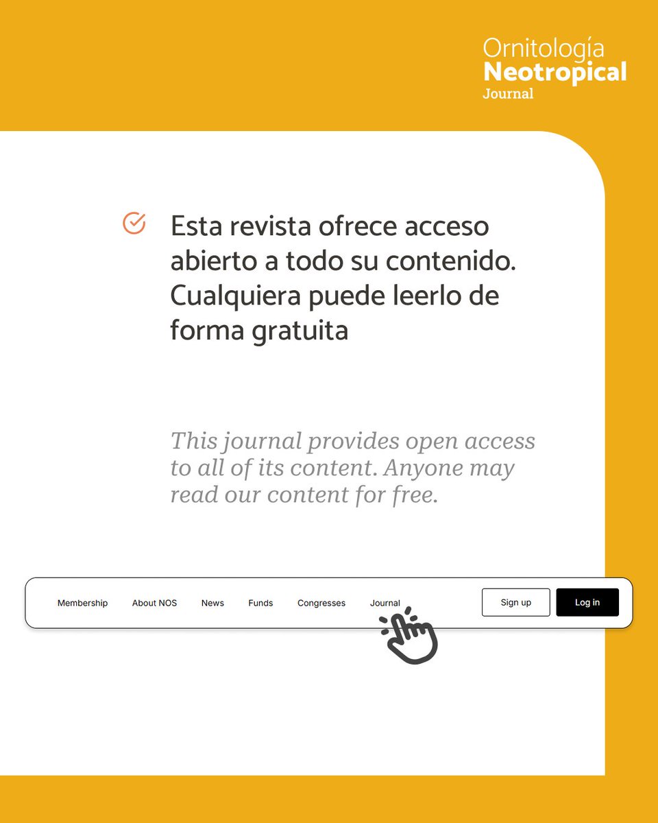 Ornitología Neotropical tweet media