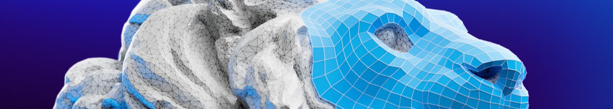 RetopoFlow's tweet image. 📢 There&apos;s less than one week before Retopoflow 4 is out of beta. After that, the price goes back to usual: superhivemarket.com/products/retop…