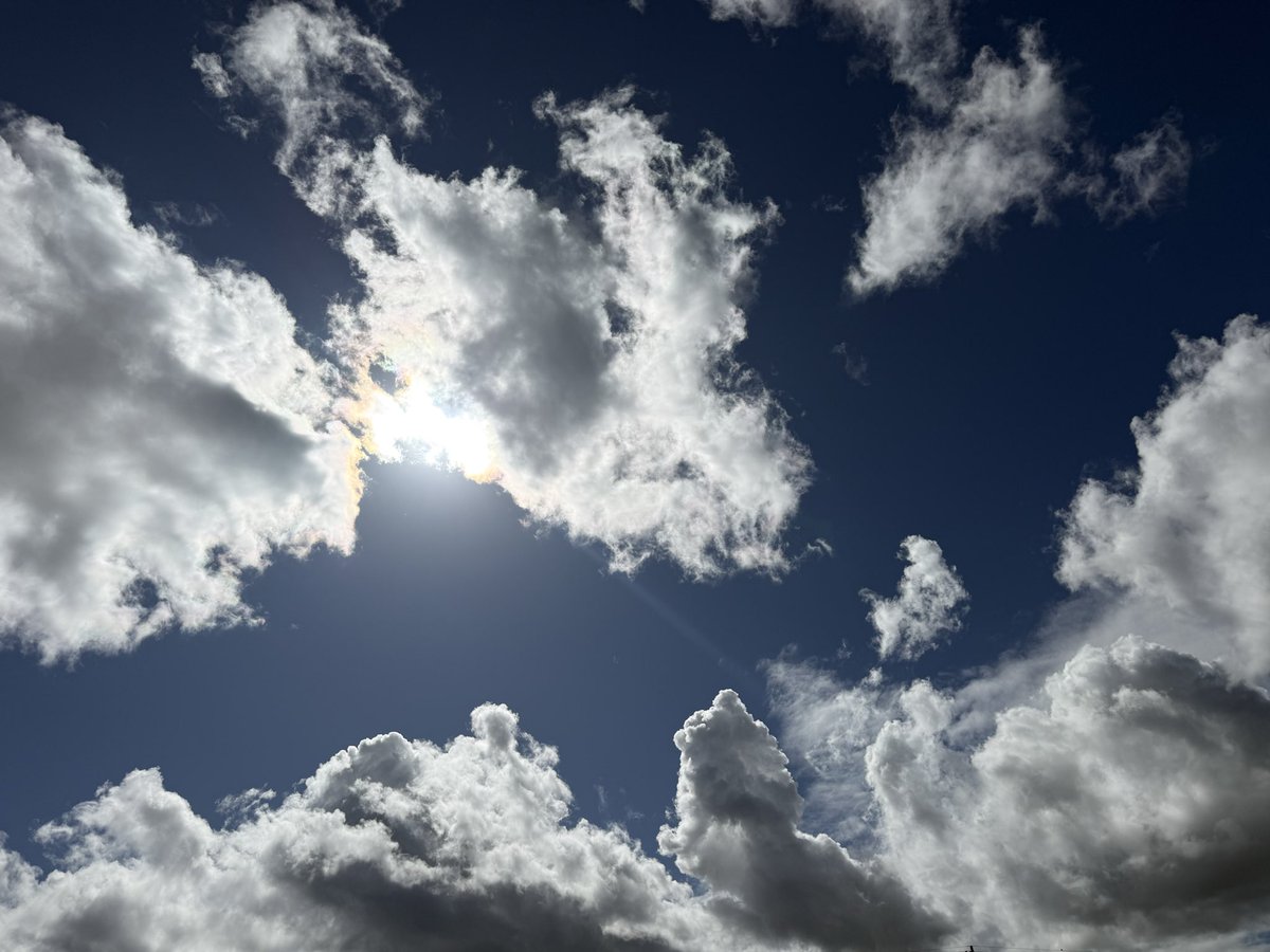 ChatsXIX's tweet image. #CurrentView !!! 😍