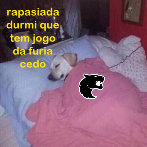 FURIA tweet media