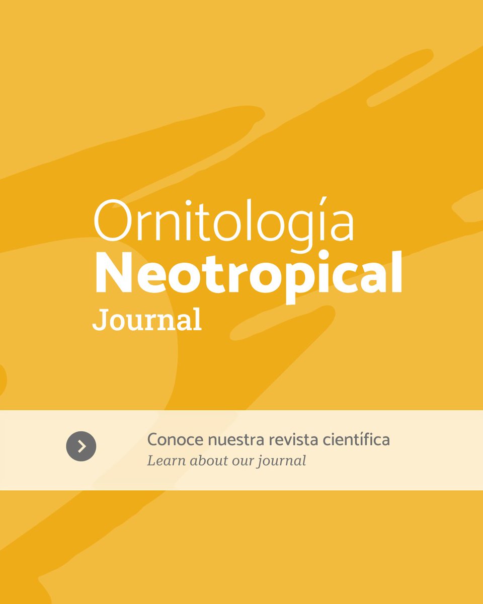 Ornitología Neotropical tweet media