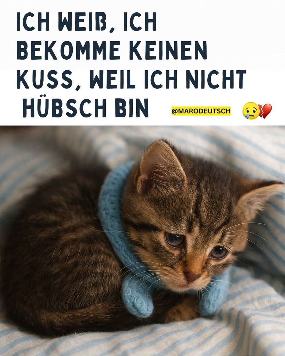 Mihokitzune Ceo of flauschigkeit (@mihokitzune) on Twitter photo 