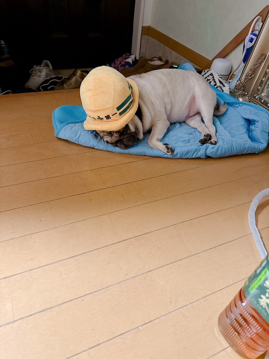 あびこページ ApeosPort-VII C7773/C6673/C5573/C4473/C3373/C3372/C2273